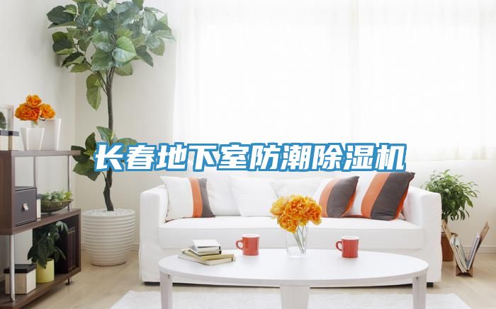 長春地下室防潮香蕉视频国产