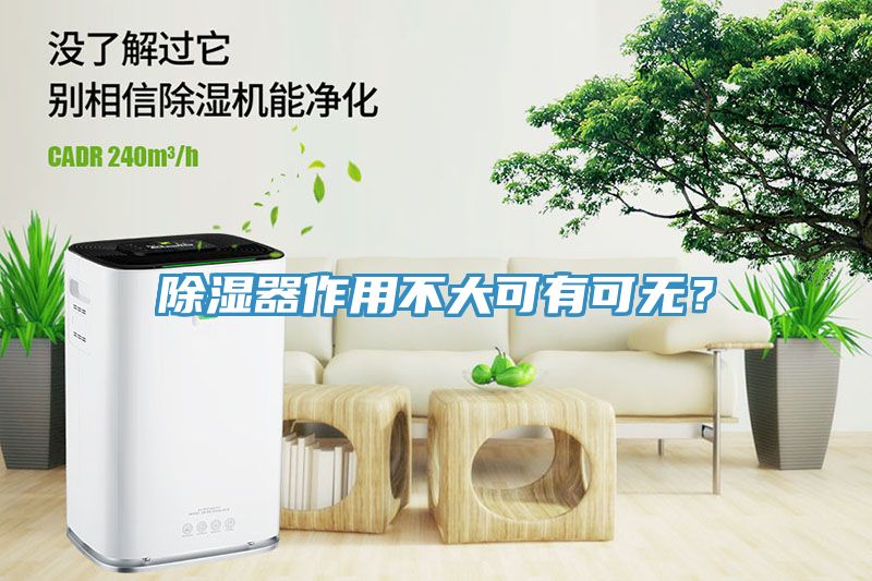 除濕器作用不大可有可無？