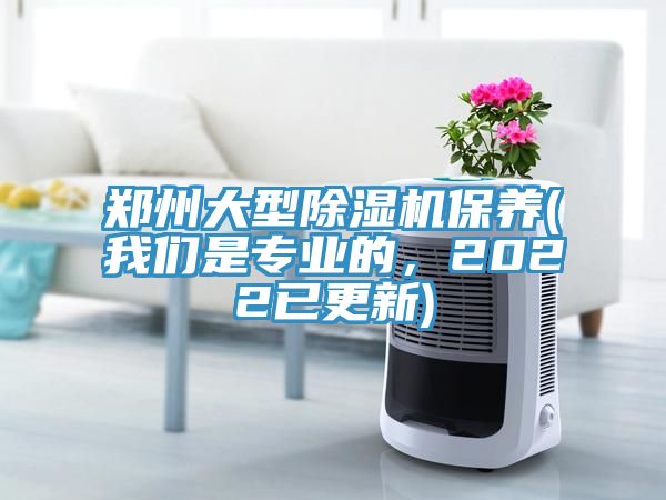 鄭州大型香蕉视频国产保養(大香蕉性爱网是專業的，2022已更新)