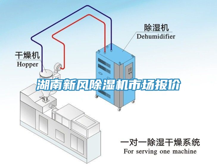 湖南新風香蕉视频国产市場報價