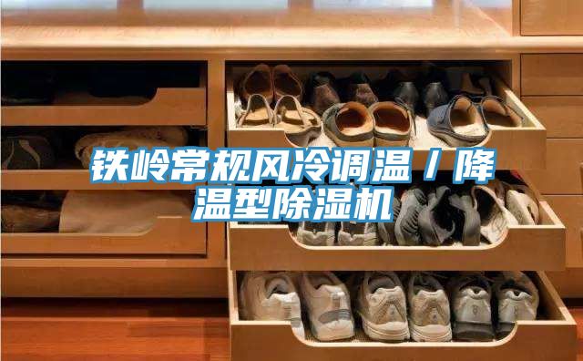 鐵嶺常規風冷調溫／降溫型香蕉视频国产