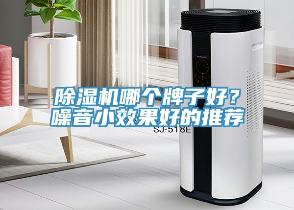 香蕉视频国产哪個牌子好？噪音小效果好的推薦
