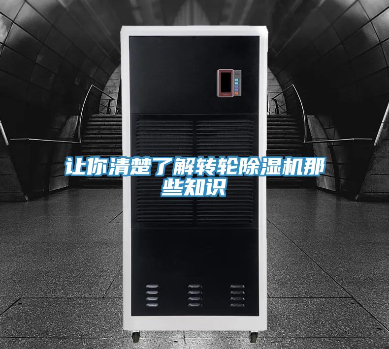 讓你清楚了解轉輪香蕉视频国产那些知識
