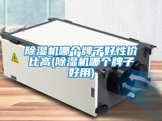 香蕉视频国产哪個牌子好性價比高(香蕉视频国产哪個牌子好用)