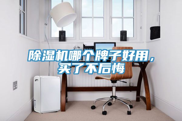 香蕉视频国产哪個牌子好用，買了不後悔