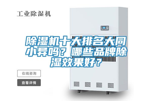 香蕉视频国产十大排名大同小異嗎？哪些品牌除濕效果好？