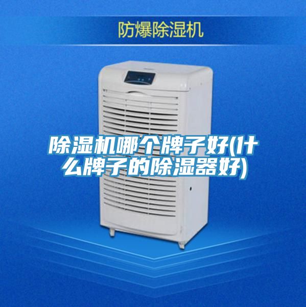 香蕉视频国产哪個牌子好(什麽牌子的除濕器好)