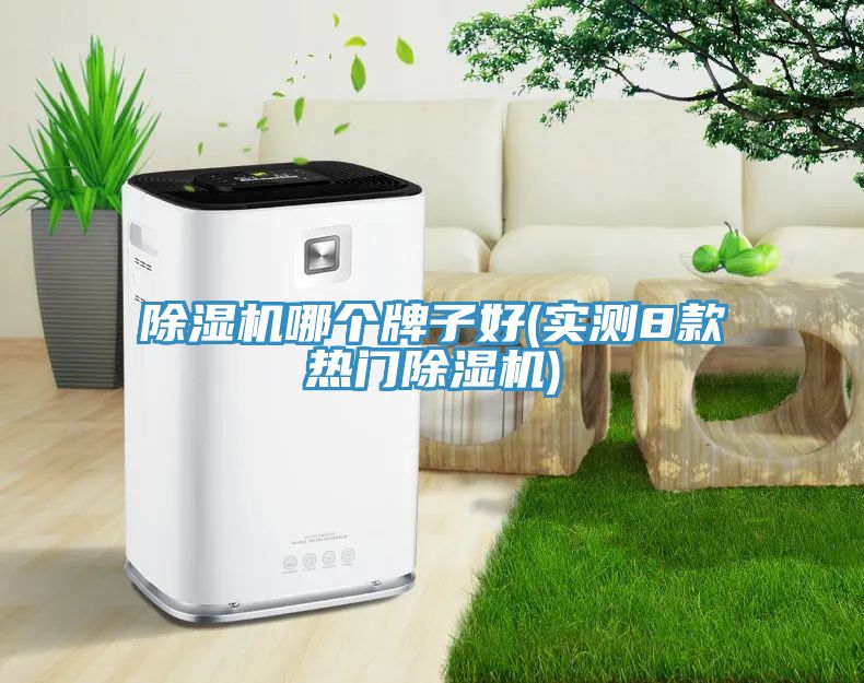 香蕉视频国产哪個牌子好(實測8款熱門香蕉视频国产)