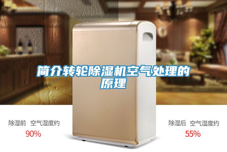 簡介轉輪香蕉视频国产空氣處理的原理