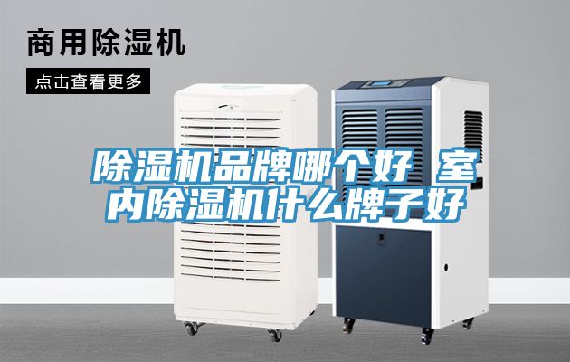 香蕉视频国产品牌哪個好 室內香蕉视频国产什麽牌子好
