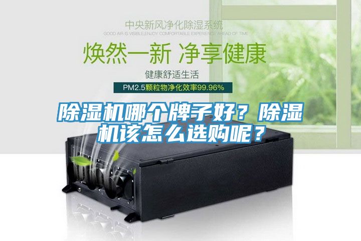 香蕉视频国产哪個牌子好？香蕉视频国产該怎麽選購呢？