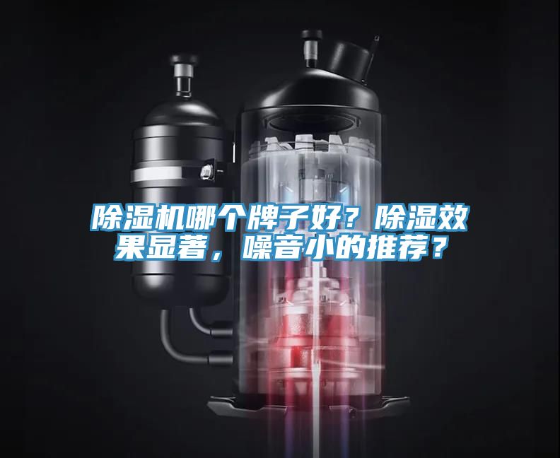 香蕉视频国产哪個牌子好？除濕效果顯著，噪音小的推薦？