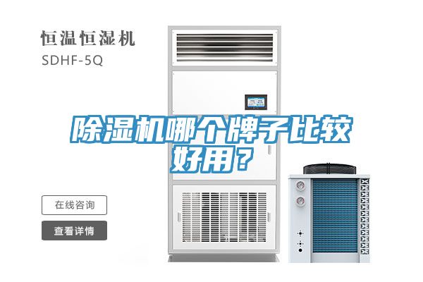 香蕉视频国产哪個牌子比較好用？