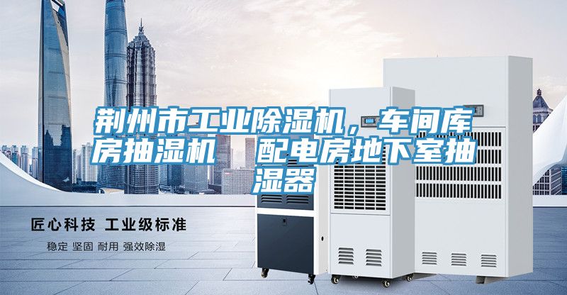 荊州市工業香蕉视频国产，車間庫房抽濕機  配電房地下室抽濕器
