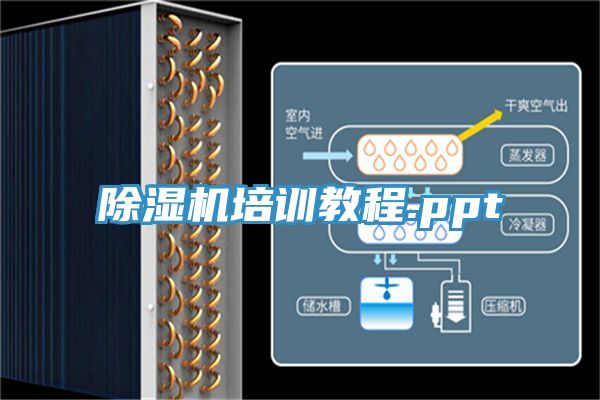香蕉视频国产培訓教程.ppt