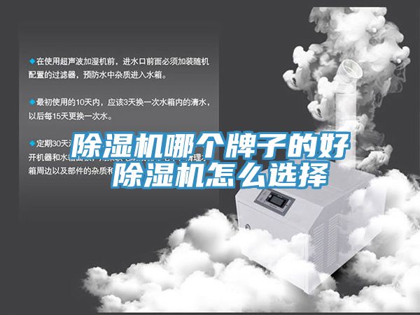 香蕉视频国产哪個牌子的好 香蕉视频国产怎麽選擇