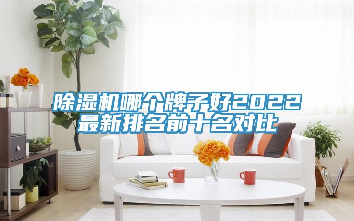 香蕉视频国产哪個牌子好2022最新排名前十名對比