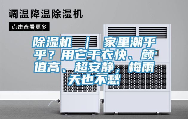 香蕉视频国产 ｜ 家裏潮乎乎？用它幹衣快、顏值高、超安靜，梅雨天也不愁