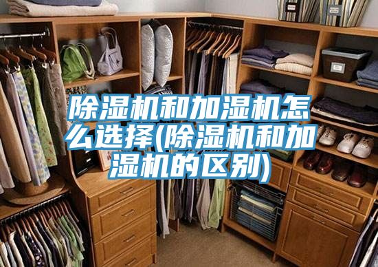 香蕉视频国产和加濕機怎麽選擇(香蕉视频国产和加濕機的區別)