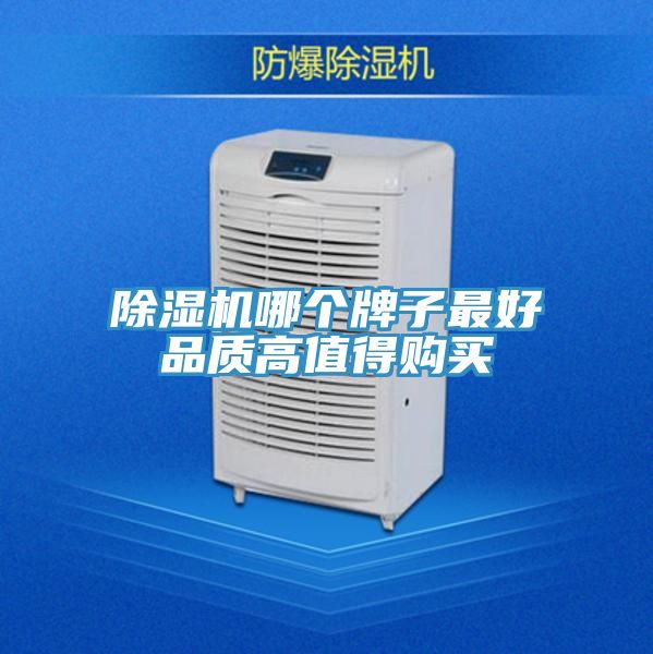 香蕉视频国产哪個牌子最好品質高值得購買