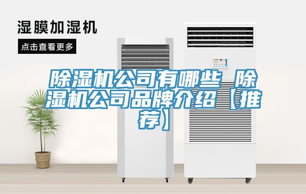 香蕉视频国产公司有哪些 香蕉视频国产公司品牌介紹【推薦】