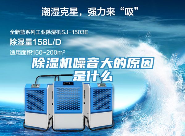 香蕉视频国产噪音大的原因是什麽