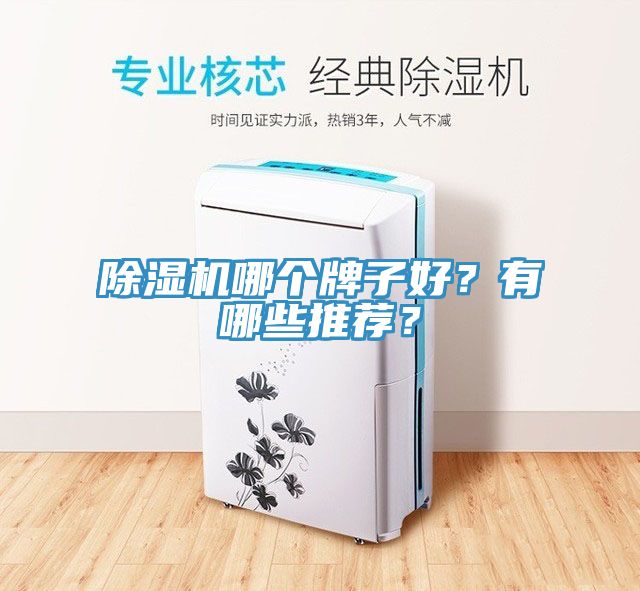 香蕉视频国产哪個牌子好？有哪些推薦？