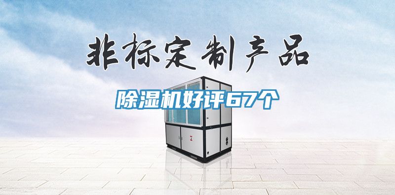 香蕉视频国产好評67個