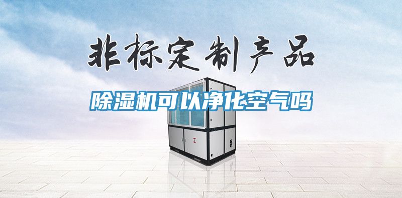 香蕉视频国产可以淨化空氣嗎