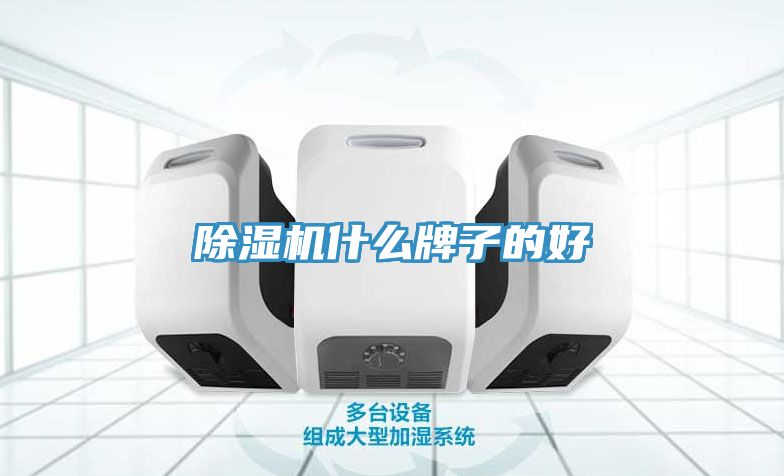香蕉视频国产什麽牌子的好