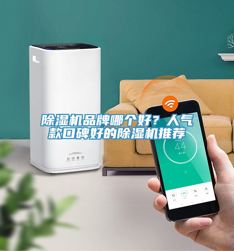 香蕉视频国产品牌哪個好？人氣款口碑好的香蕉视频国产推薦