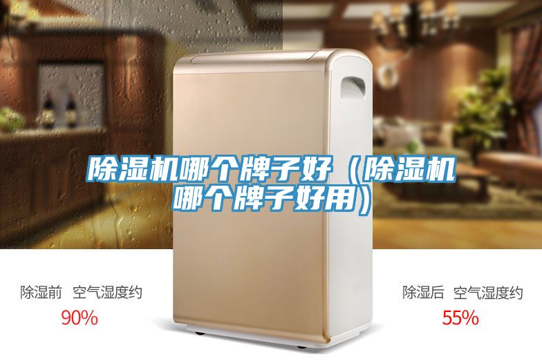 香蕉视频国产哪個牌子好（香蕉视频国产哪個牌子好用）