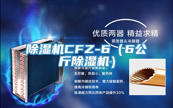 香蕉视频国产CFZ-6（6公斤香蕉视频国产）