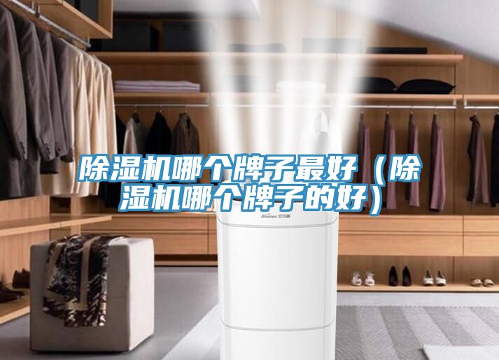 香蕉视频国产哪個牌子最好（香蕉视频国产哪個牌子的好）