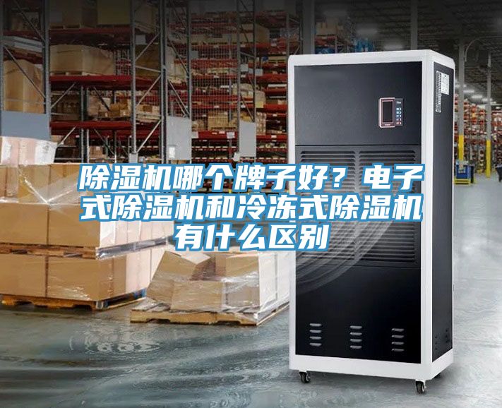 香蕉视频国产哪個牌子好？電子式香蕉视频国产和冷凍式香蕉视频国产有什麽區別