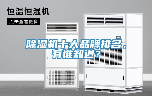 香蕉视频国产十大品牌排名，有誰知道？