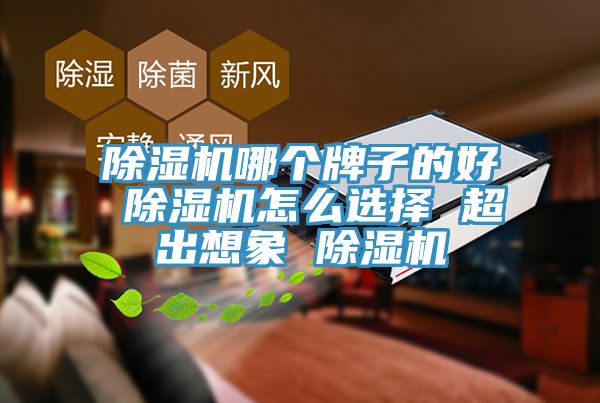 香蕉视频国产哪個牌子的好 香蕉视频国产怎麽選擇 超出想象 香蕉视频国产