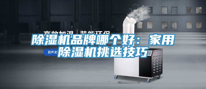 香蕉视频国产品牌哪個好：家用香蕉视频国产挑選技巧