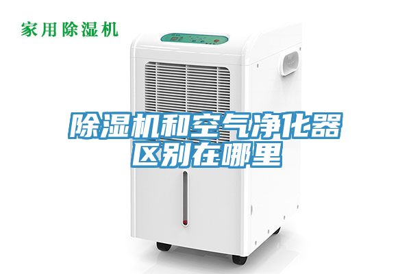 香蕉视频国产和空氣淨化器區別在哪裏