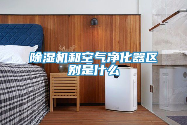 香蕉视频国产和空氣淨化器區別是什麽
