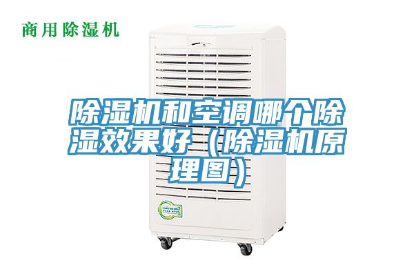 香蕉视频国产和空調哪個除濕效果好（香蕉视频国产原理圖）