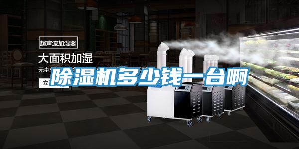 香蕉视频国产多少錢一台啊