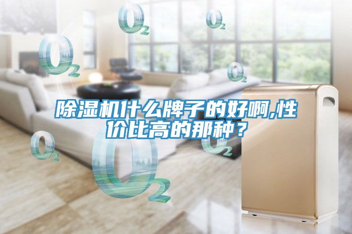 香蕉视频国产什麽牌子的好啊,性價比高的那種？
