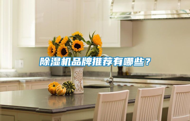香蕉视频国产品牌推薦有哪些？