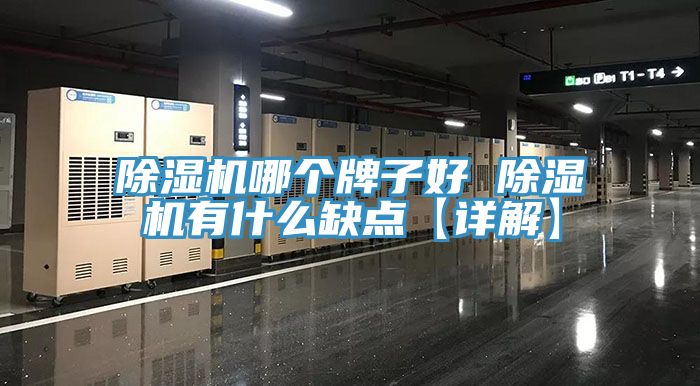 香蕉视频国产哪個牌子好 香蕉视频国产有什麽缺點【詳解】