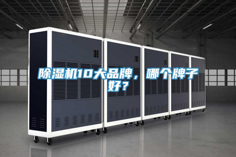 香蕉视频国产10大品牌，哪個牌子好？
