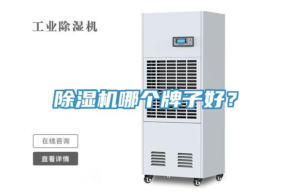 香蕉视频国产哪個牌子好？