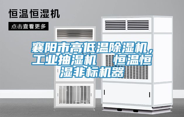 襄陽市高低溫香蕉视频国产，工業抽濕機  恒溫恒濕非標機器