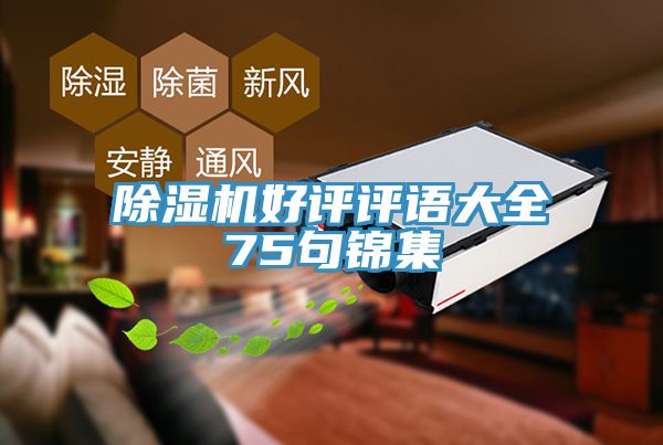 香蕉视频国产好評評語大全75句錦集