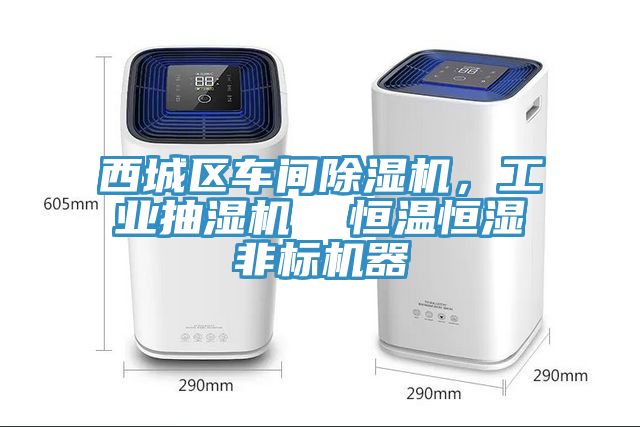 西城區車間香蕉视频国产，工業抽濕機  恒溫恒濕非標機器